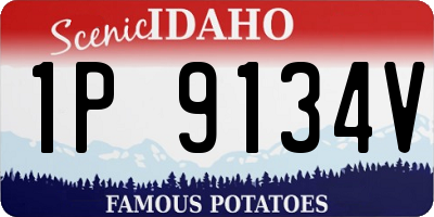 ID license plate 1P9134V