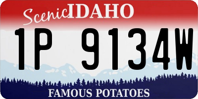ID license plate 1P9134W
