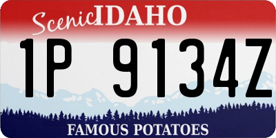 ID license plate 1P9134Z