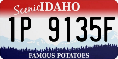 ID license plate 1P9135F