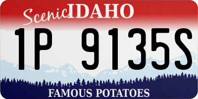 ID license plate 1P9135S