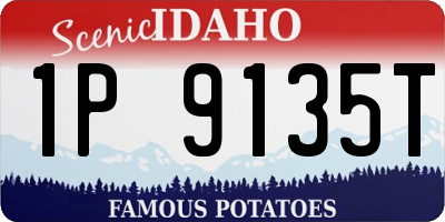 ID license plate 1P9135T
