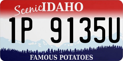 ID license plate 1P9135U