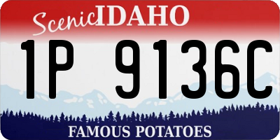 ID license plate 1P9136C