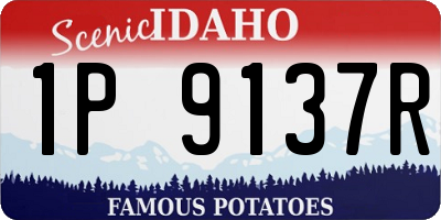 ID license plate 1P9137R