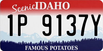 ID license plate 1P9137Y