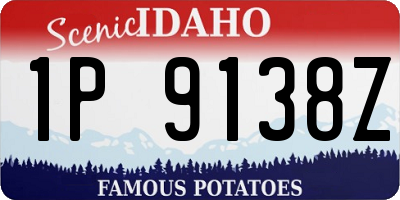 ID license plate 1P9138Z