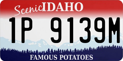 ID license plate 1P9139M