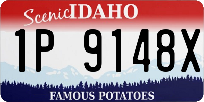 ID license plate 1P9148X