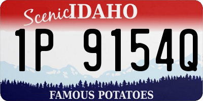 ID license plate 1P9154Q