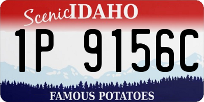 ID license plate 1P9156C