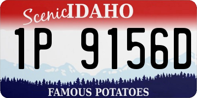 ID license plate 1P9156D