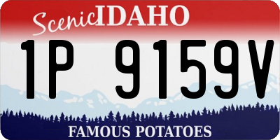 ID license plate 1P9159V