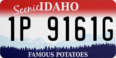 ID license plate 1P9161G