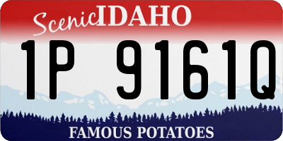 ID license plate 1P9161Q