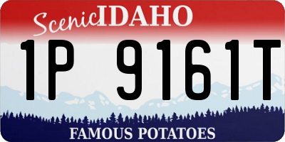 ID license plate 1P9161T