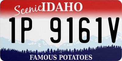 ID license plate 1P9161V