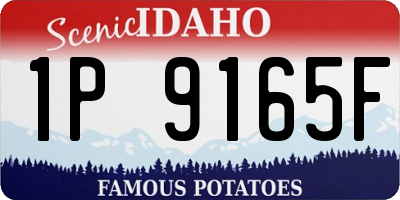 ID license plate 1P9165F