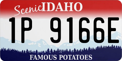 ID license plate 1P9166E