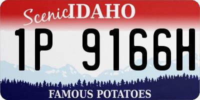 ID license plate 1P9166H