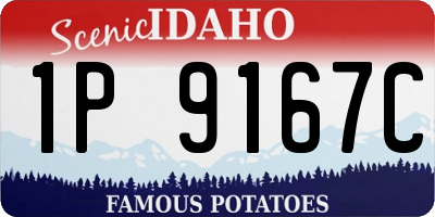 ID license plate 1P9167C