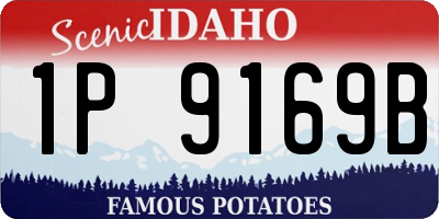ID license plate 1P9169B