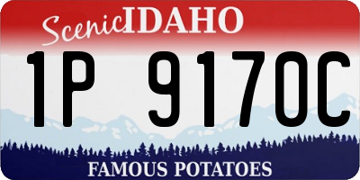 ID license plate 1P9170C