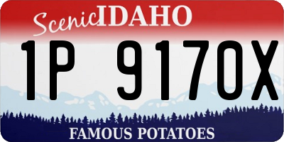 ID license plate 1P9170X