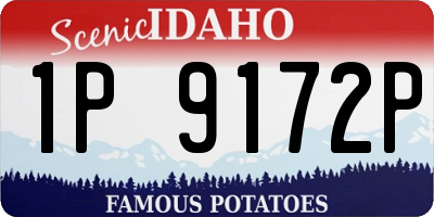 ID license plate 1P9172P