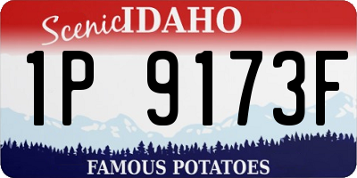 ID license plate 1P9173F