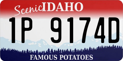 ID license plate 1P9174D