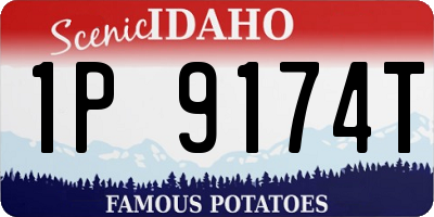 ID license plate 1P9174T