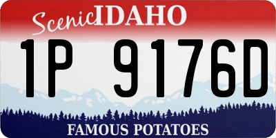 ID license plate 1P9176D