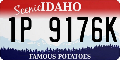 ID license plate 1P9176K