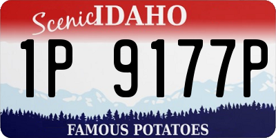 ID license plate 1P9177P