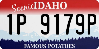 ID license plate 1P9179P