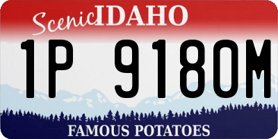 ID license plate 1P9180M