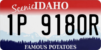 ID license plate 1P9180R