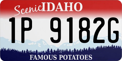 ID license plate 1P9182G