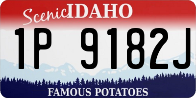 ID license plate 1P9182J