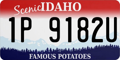 ID license plate 1P9182U