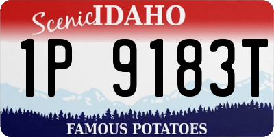 ID license plate 1P9183T