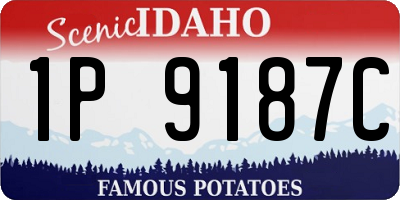 ID license plate 1P9187C