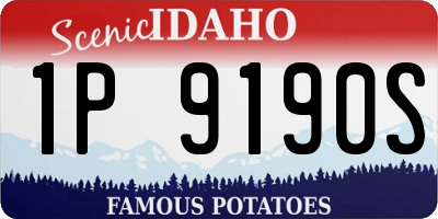 ID license plate 1P9190S