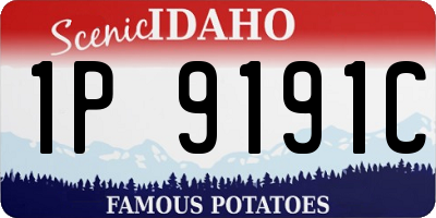 ID license plate 1P9191C