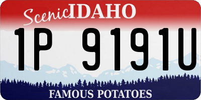 ID license plate 1P9191U