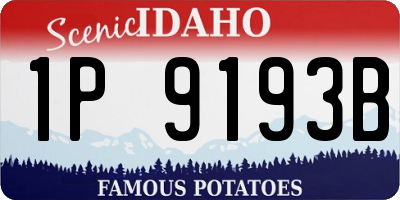 ID license plate 1P9193B