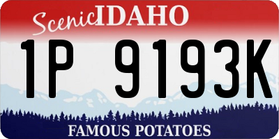 ID license plate 1P9193K