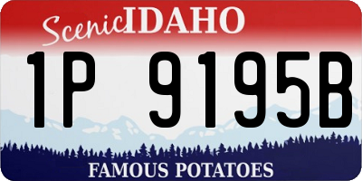 ID license plate 1P9195B