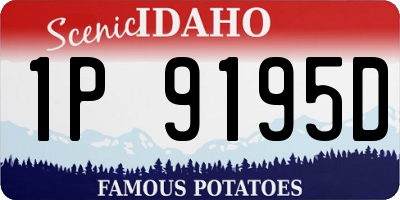 ID license plate 1P9195D